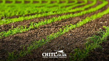 best topsoil for growing grass