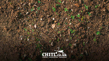 Topsoil with Compost